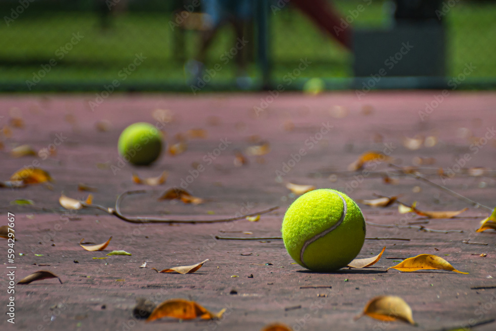 Tennis balls on with leaves on court