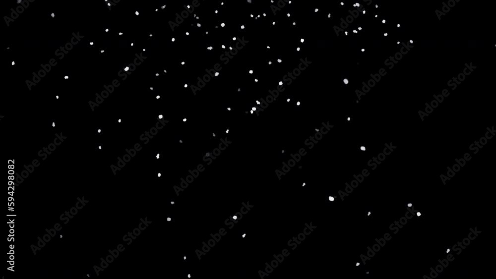 Animation of falling snow isolated on a black background