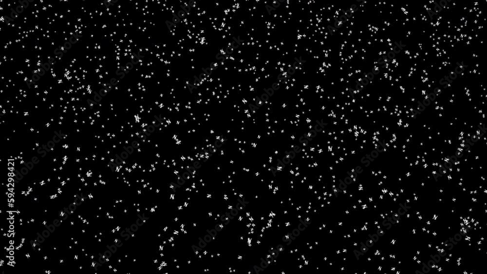 Animation of falling snow isolated on a black background Animation of falling snow isolated on a black background