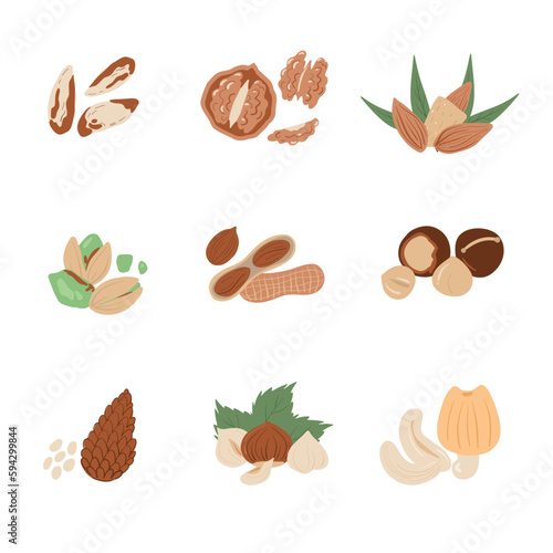Nuts and seeds in hand draw design Vector illustration set. Collection of nuts, seed icons, infographic elements isolated on white background. Vector illustration