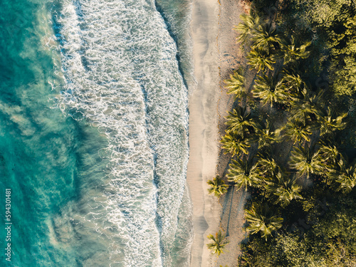 Aerial top drone view on sand beach,palm tree and ocean on the caribbean island of Martinique, France. Famous Plage des Salines beach.