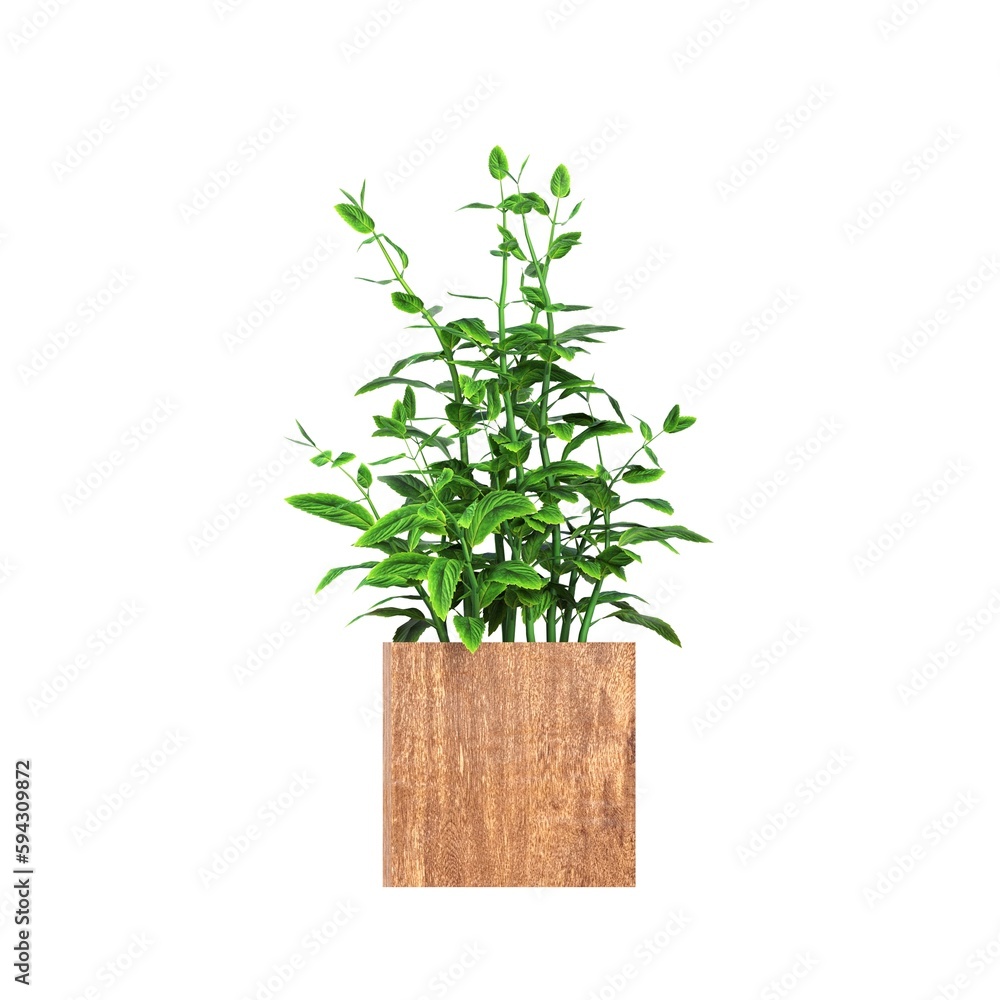 decorative flower in a pot isolated on white background, 3D illustration, cg render decorative flower in a pot isolated on white background, 3D illustration, cg render