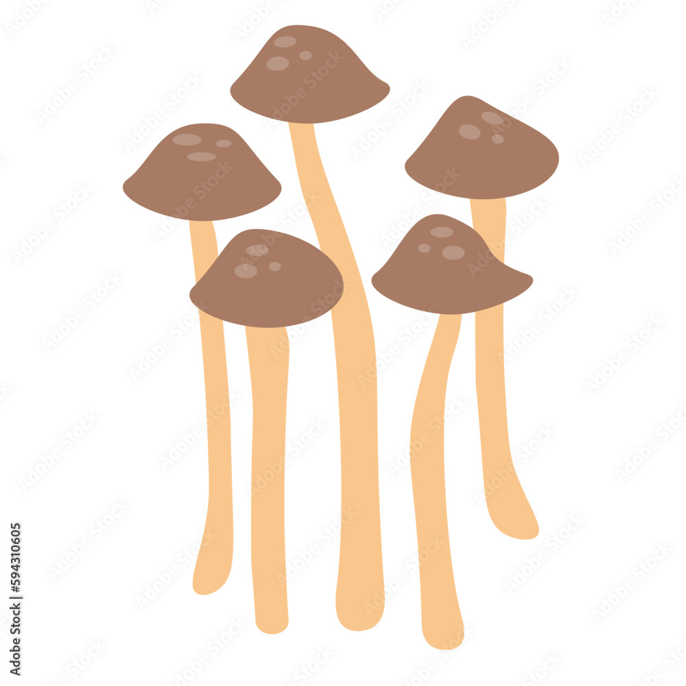 Flat vector of mushroom isolated on white background. Flat illustration graphic icon EPS