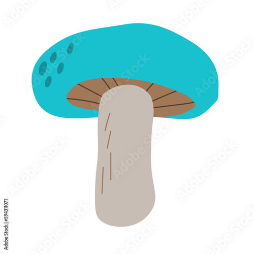 Mushroom in flat style, edible mushroom vector illustration isolated on white background. EPS