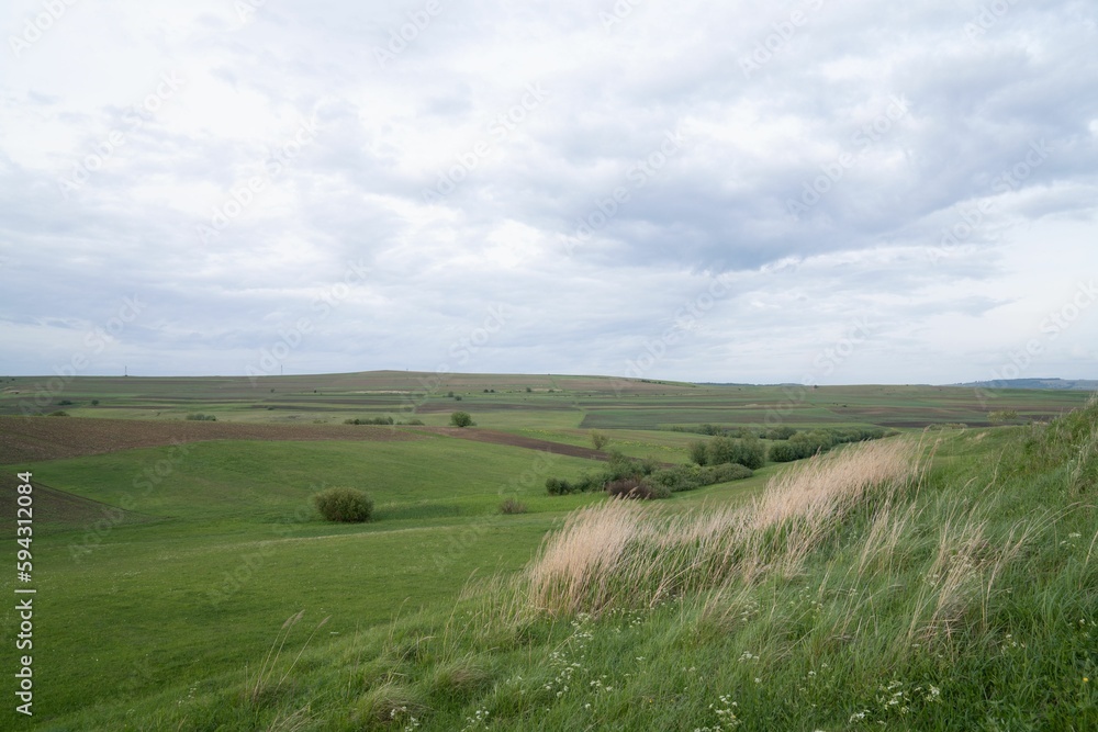 Landscape in green fields