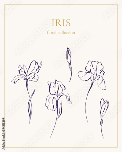 Set of luxury iris flowers isolated on light background. Hand-sketched botanical elements for invitation or greeting card. Elegant vector flowers