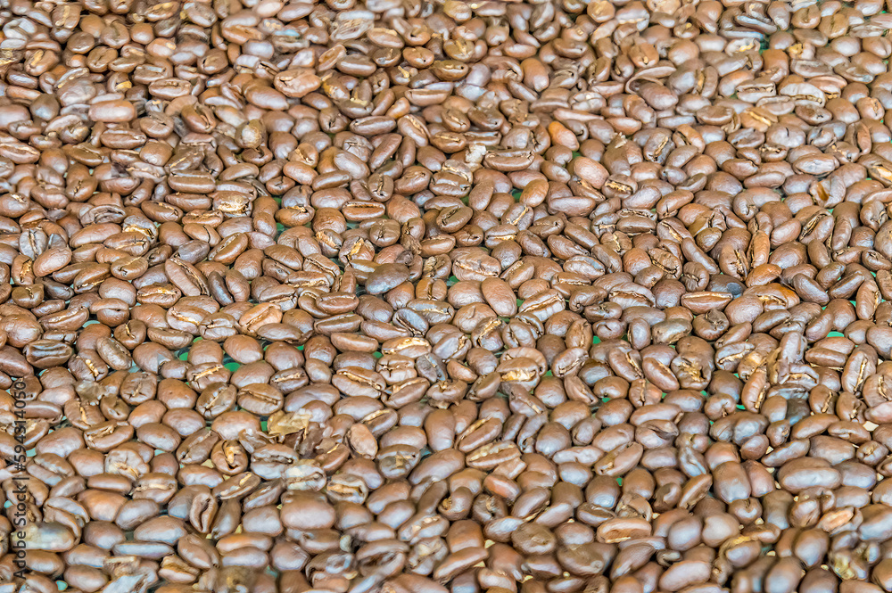 A view of peeled and dryed coffee beans in La Fortuna, Costa Rica during the dry season A view of peeled and dryed coffee beans in La Fortuna, Costa Rica during the dry season