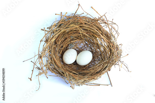 Bird's nest with two white egg in it isolated over white background. Eggs in straw nest.