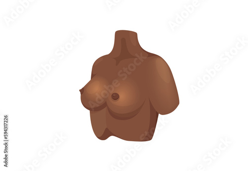 Concept Mammary glands healthy female breast. A highly detailed illustration of the mammary glands, designed in a realistic style. Vector illustration.
