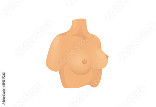 Concept Mammary glands healthy female breast. This illustration takes a conceptual approach to the female breast and mammary glands, depicting them in a more abstract way. Vector illustration.