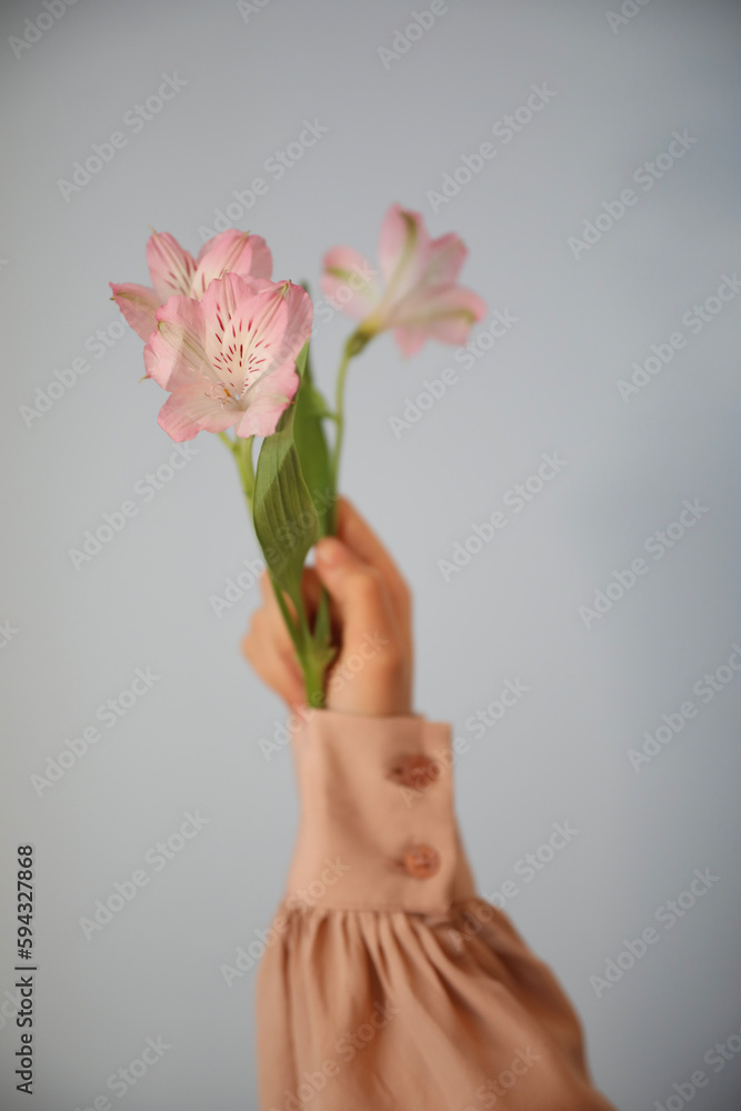 woman holding pink flower