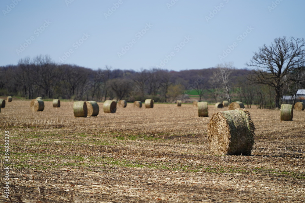 Square rolled-up hay bales sit on farmland. 