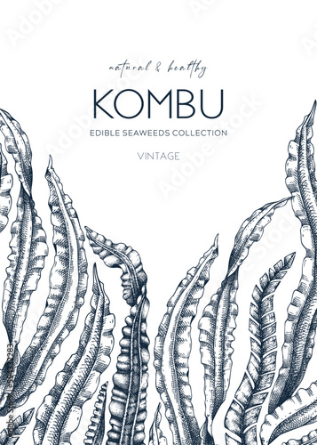 Hand drawn Kombu card design. Laminaria botanical frame. Edible seaweed drawing isolated on white background. Healthy food ingredients illustration. Asian cuisines menu template