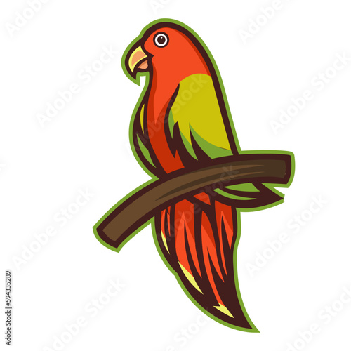 parrot on a white background