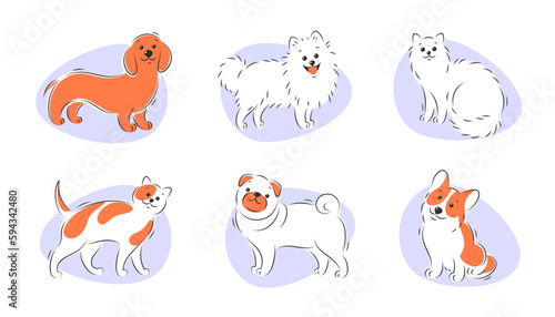 Dogs and cats. Pets set. Vector illustration.