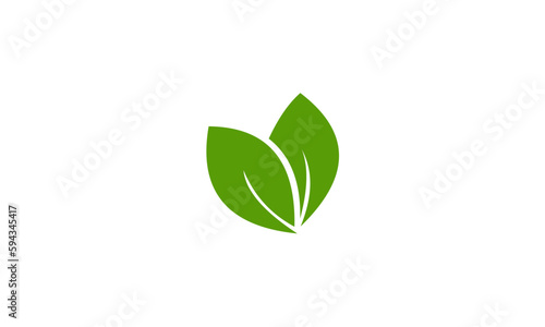 green leaf isolated on white background © rain