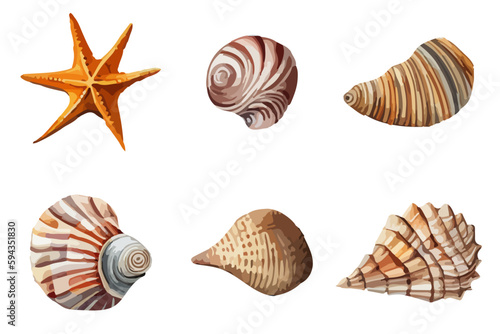 Vector summer set Seashell watercolor illustration. Hand drawn underwater element design for greeting card, printing.