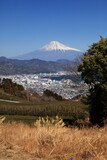 日本平から見る冠雪の富士山と駿河湾