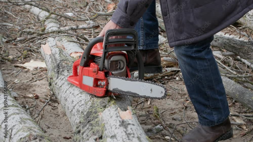 sawing firewood, elderly man starts a chainsaw to cut trees into stumps, close-up sawing firewood, elderly man starts a chainsaw to cut trees into stumps, close-up