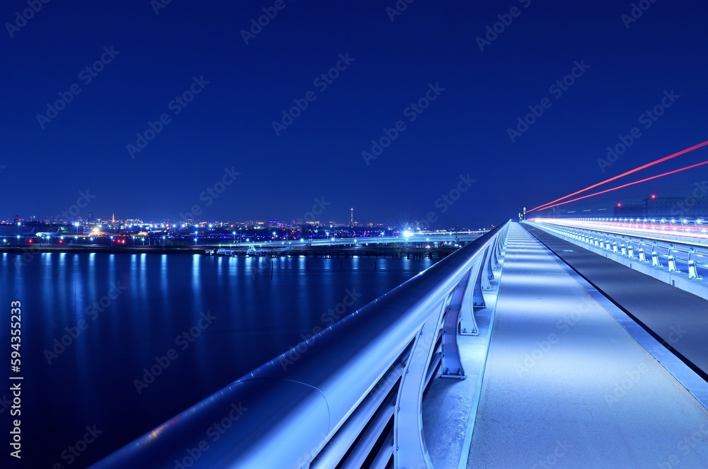 多摩川スカイブリッジの夜景