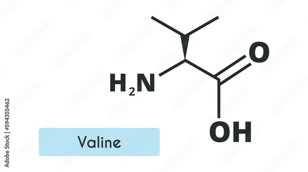 Valine Molecule Structure. (l-valine, Val, V). Skeletal formula. Amino acid.