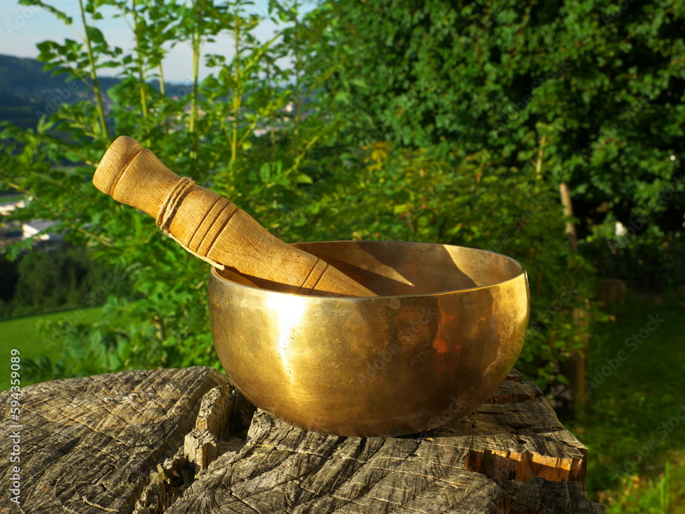Singing bowl on a tree trunk with the Swiss landscape in the background