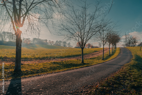 Sonniger Weg in l  ndlicher Umgebung