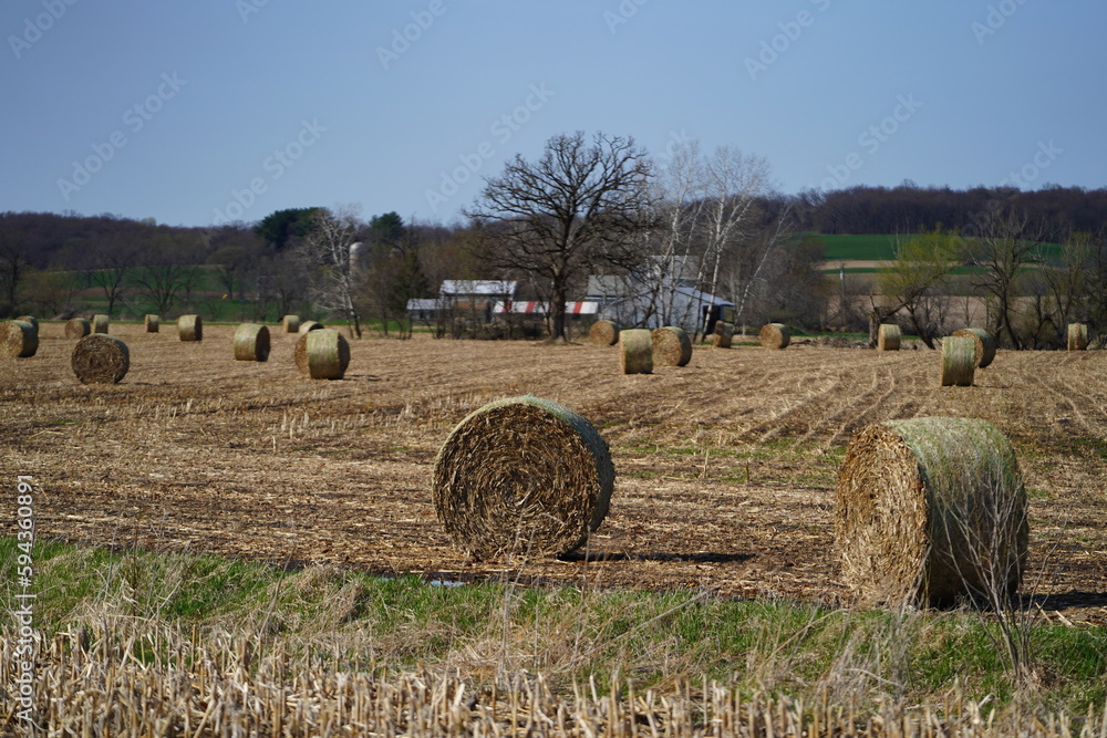 Square rolled-up hay bales sit on farmland. 