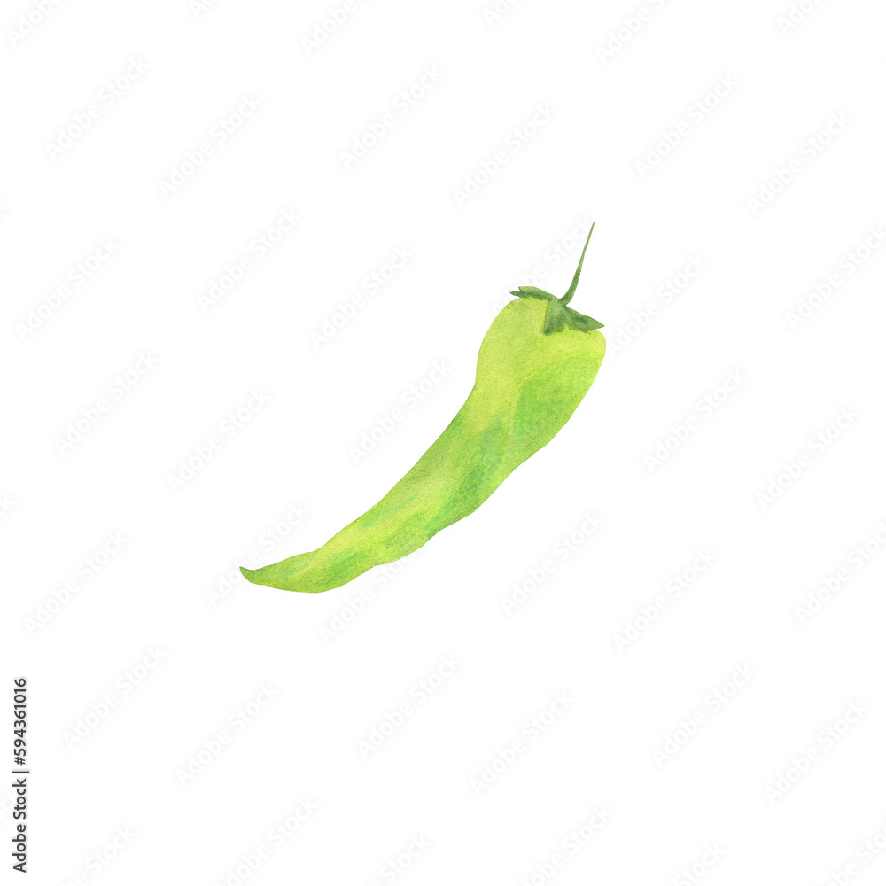 Obraz premium Watercolor drawing of green hot peppers