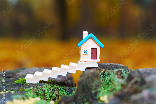 Miniature House Figurine on a Tree Stump in the Woods