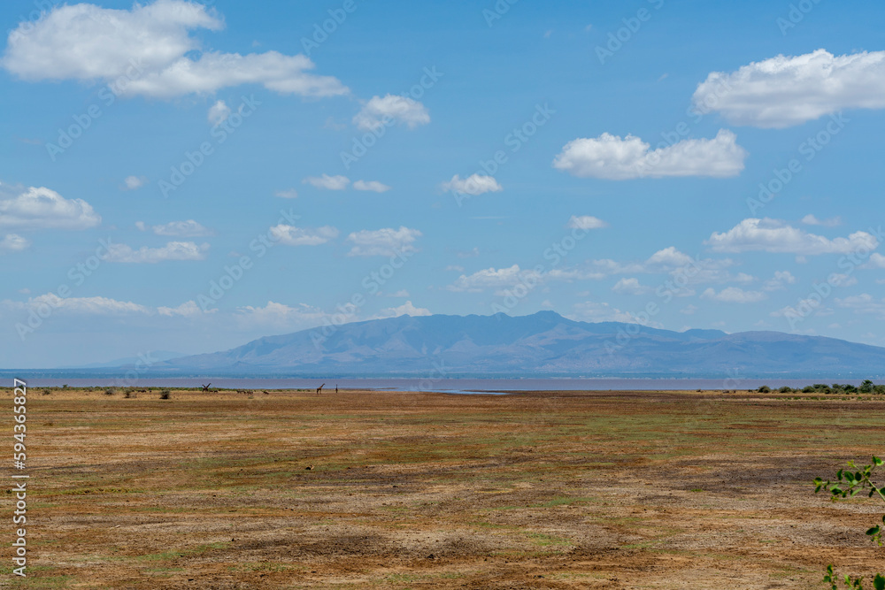 Savannah landscape in Serengeti National Park Savannah landscape in Serengeti National Park