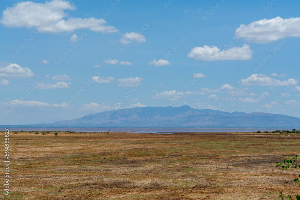 Savannah landscape in Serengeti National Park