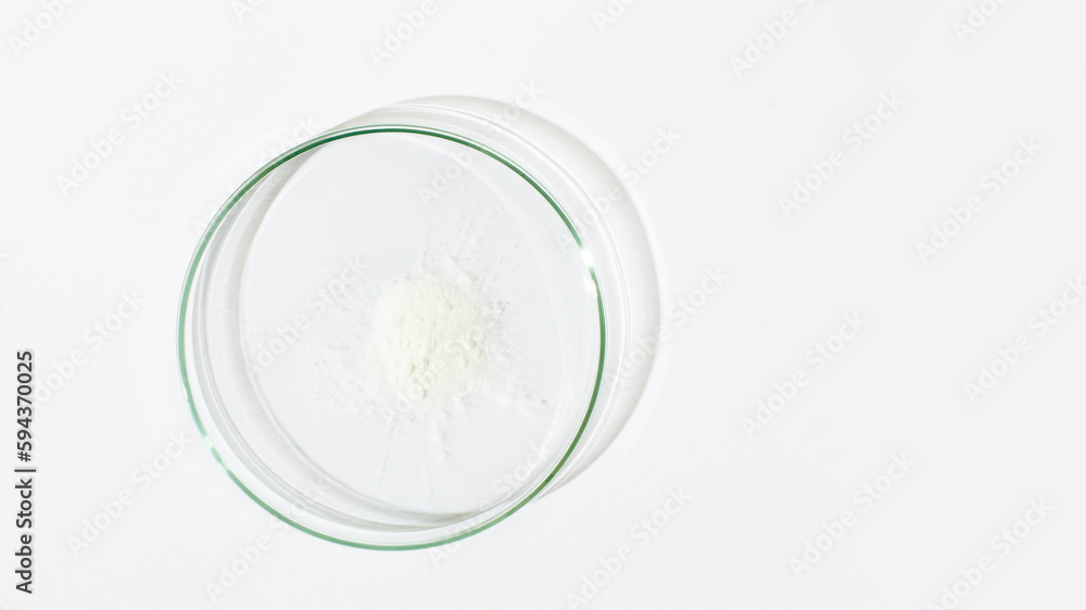 White powder in a Petri dish. Cocaine, cannabinoid, medicinal powder, antibiotic. lab, research. White powder in a Petri dish. Cocaine, cannabinoid, medicinal powder, antibiotic. lab, research.