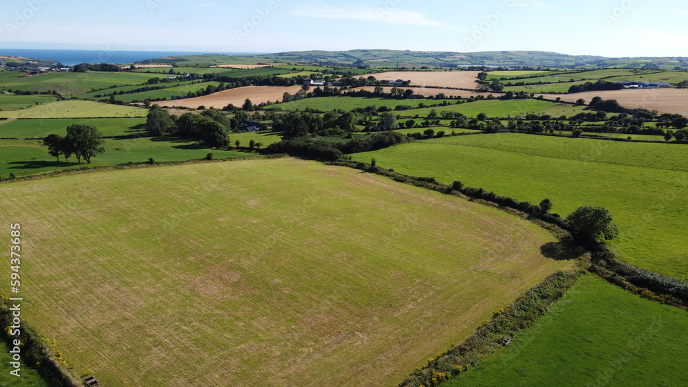 Obraz premium fields separated by shrubs. Cattle pastures in the south of Ireland. Agricultural landscape, nature. Green grass field