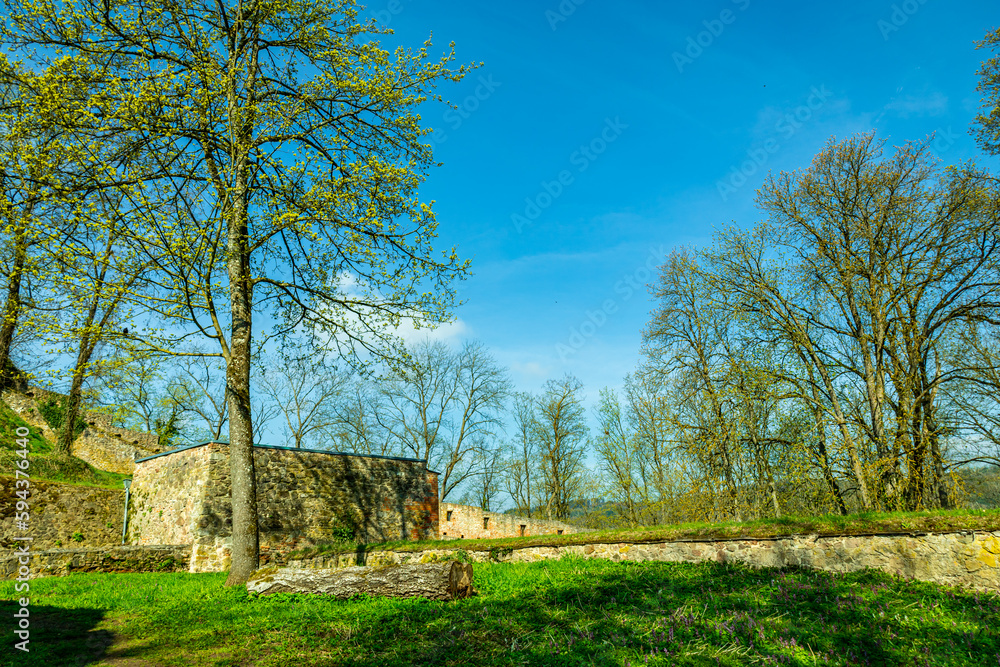 Frühlingswanderung durch wunderschöne Donaudelta bei Donaustauf - Bayern - Deutschland
Frühlingswanderung durch wunderschöne Donaudelta bei Donaustauf - Bayern - Deutschland