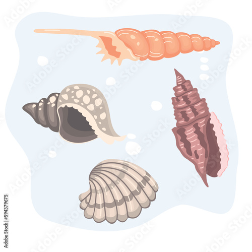 Set of sea shells in color. Four types of molluscs on a blue background.Sea inhabitants in cartoon style. Print on fabric and paper.Vector flat style isolated  illustration.