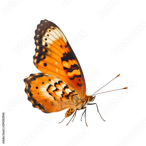 Orange-red butterfly on a transparent background. PNG. Generative AI. © slawomir366