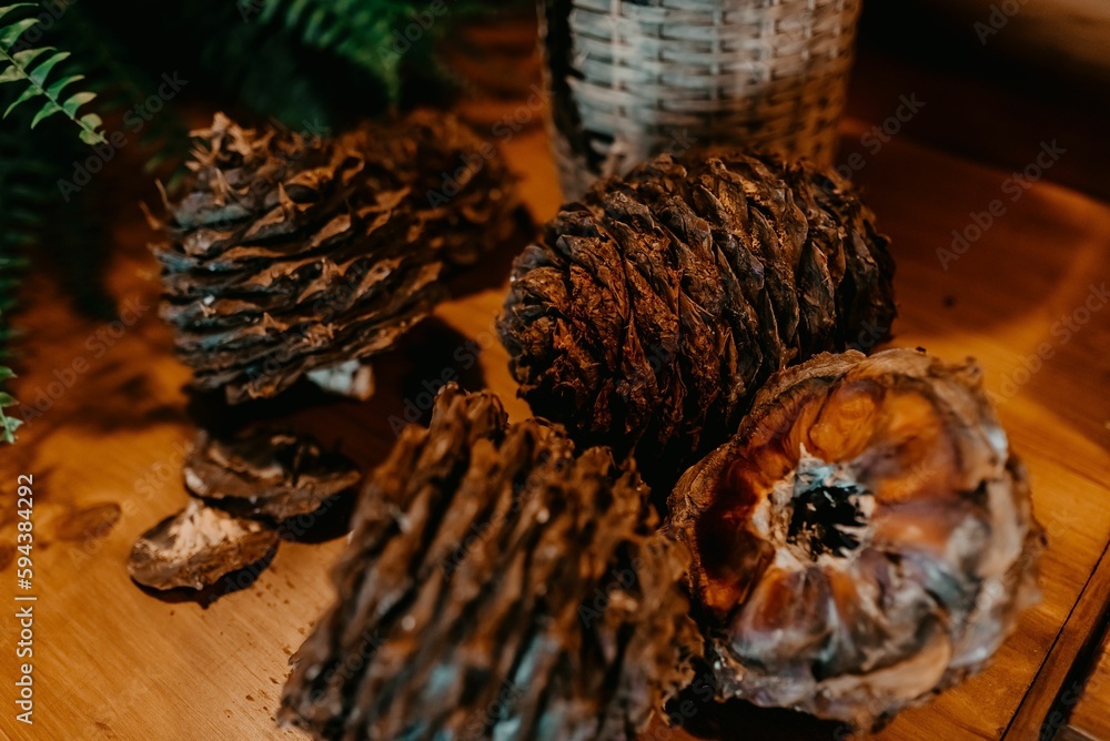 Closeup of decorative pine cones and fern leaves on the table