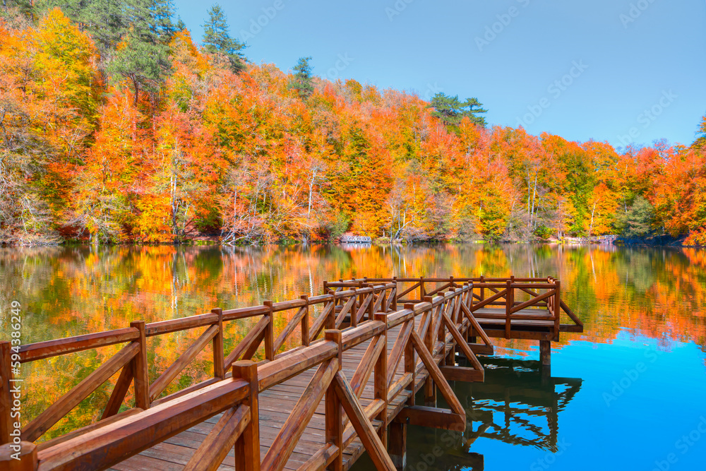 Autumn forest landscape reflection on the water with - Autumn landscape in (seven lakes) National park of  Yedigoller, Bolu 