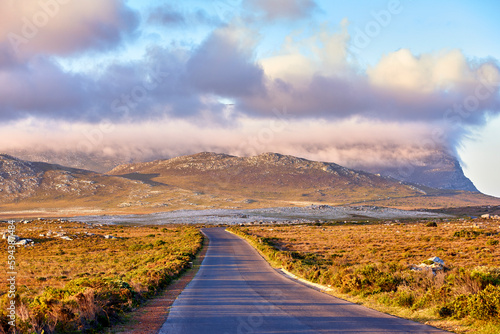 The wilderness of Cape Point National Park. Road through the wilderness of Cape Point National Park, Western Cape, South Africa.