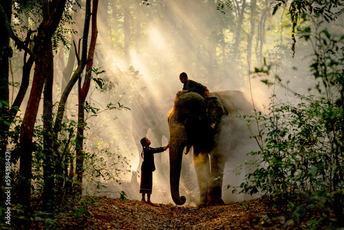 Silhouette of little girl touch elephant that has boy sit on its back in the forest with beautiful beam light in concept of relationship between animal and human in daily life.