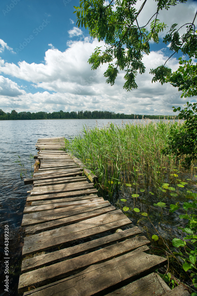 Naklejka premium Lakeside on a sunny summer day
