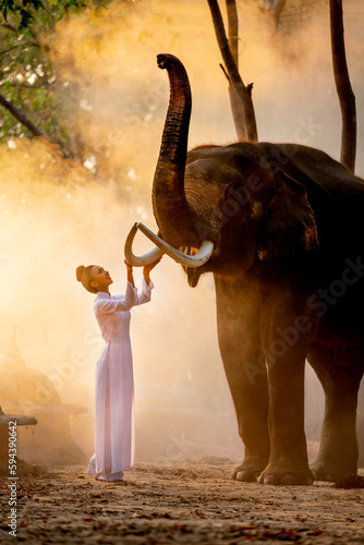 Beautiful Asian woman with white dress look like vietnam style touch elephant with love and careful with fog or mist in the background and they look happy. © narong