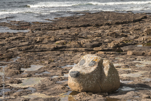 Big rock formed as cartoon dog snoopy on easky county Sligo beach Ireland photo