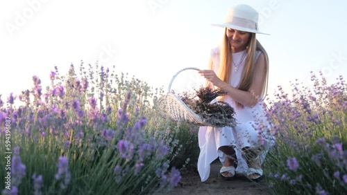 Young attractive woman in lavender bushes. Beauty concept. photo