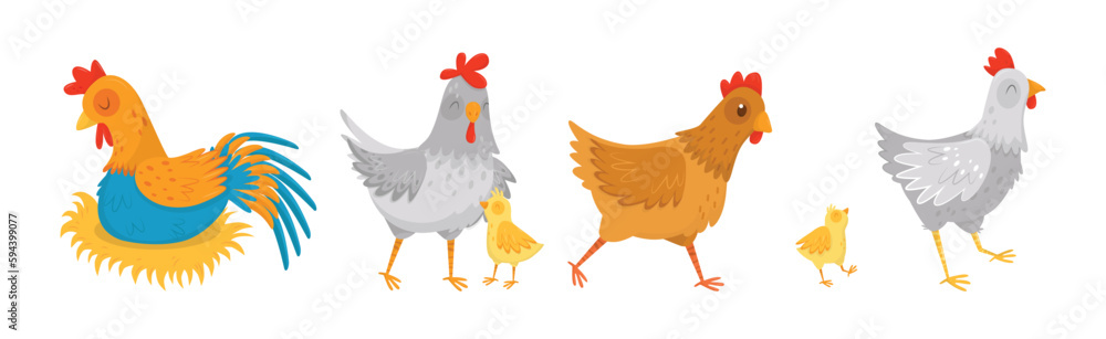 Hen and Cockerel with Chicks and Hay Nest Vector Set Hen and Cockerel with Chicks and Hay Nest Vector Set