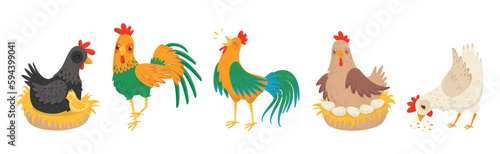 Hen and Cockerel with Chicks and Hay Nest Vector Set