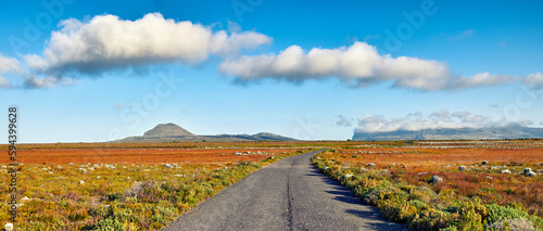 The wilderness of Cape Point National Park. Road through the wilderness of Cape Point National Park, Western Cape, South Africa.