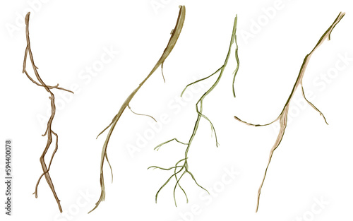 Bush and tree twigs watercolor isolated elements set. Elements for decor and design
