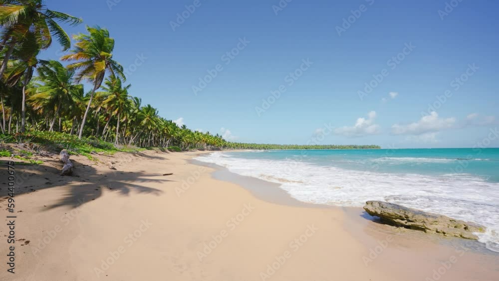 Paradise nature and the sea on a tropical beach with bright palms. An exotic beach with golden sand and coconut trees. Travel and tourism wide panoramic background concept. Relaxation on the sea waves Paradise nature and the sea on a tropical beach with bright palms. An exotic beach with golden sand and coconut trees. Travel and tourism wide panoramic background concept. Relaxation on the sea waves